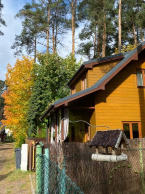 Lawendula domek nad Miedwiem in Morzyczyn